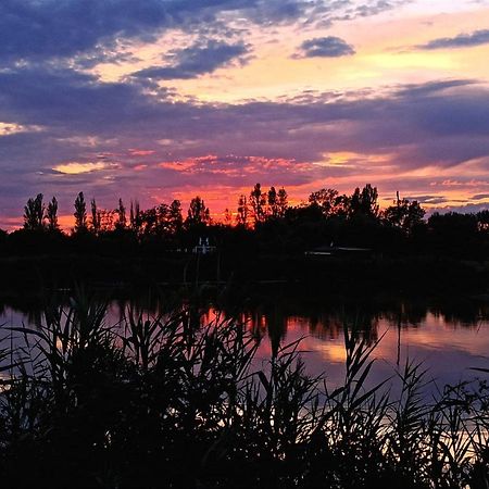 Locazione Mimosa Con Giardino Villa Ostellato Dış mekan fotoğraf